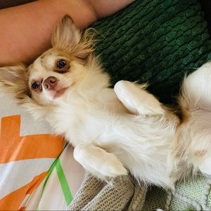 Meet your Posher, Nichole